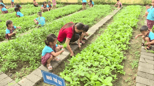 Cô trò trường mầm non Phú Yên với hoạt động nhổ cỏ dại Cô trò trường mầm non Phú Yên với hoạt động nhổ cỏ dại