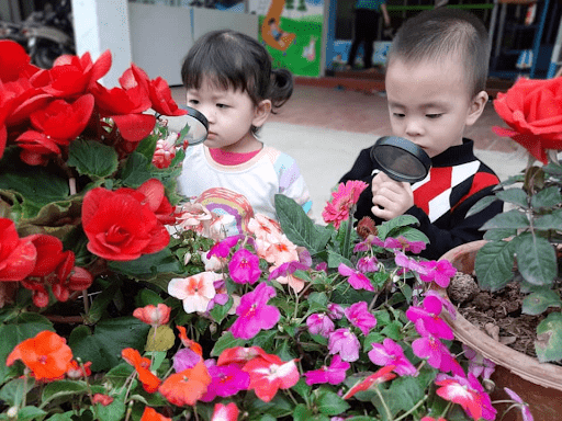 Hoạt động khám phá môi trường xung quanh của các con Hoạt động khám phá môi trường xung quanh của các con