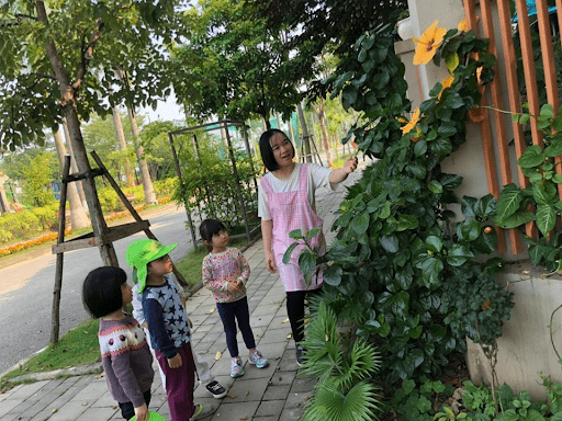 Cô trò trường mầm non Mirai Kids tìm hiểu tự nhiên Cô trò trường mầm non Mirai Kids tìm hiểu tự nhiên