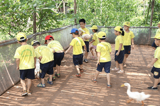 Buổi dã ngoại tại nông trang Bá Tân Buổi dã ngoại tại nông trang Bá Tân