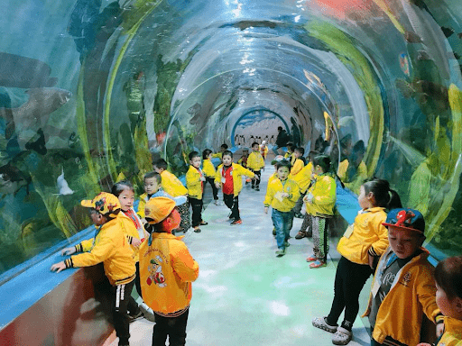Học sinh trường mầm non Uy Nỗ đi tham quan dã ngoại tại Thiên đường Bảo Sơn Học sinh trường mầm non Uy Nỗ đi tham quan dã ngoại tại Thiên đường Bảo Sơn