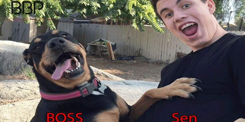 Con Sen là gì? Boss là gì? - Nguồn gốc tên gọi này 1 Sen và boss cùng bày trò đùa hài hước