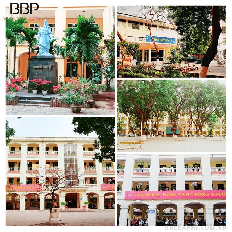 Trường THPT Quang Trung Trường THPT Quang Trung