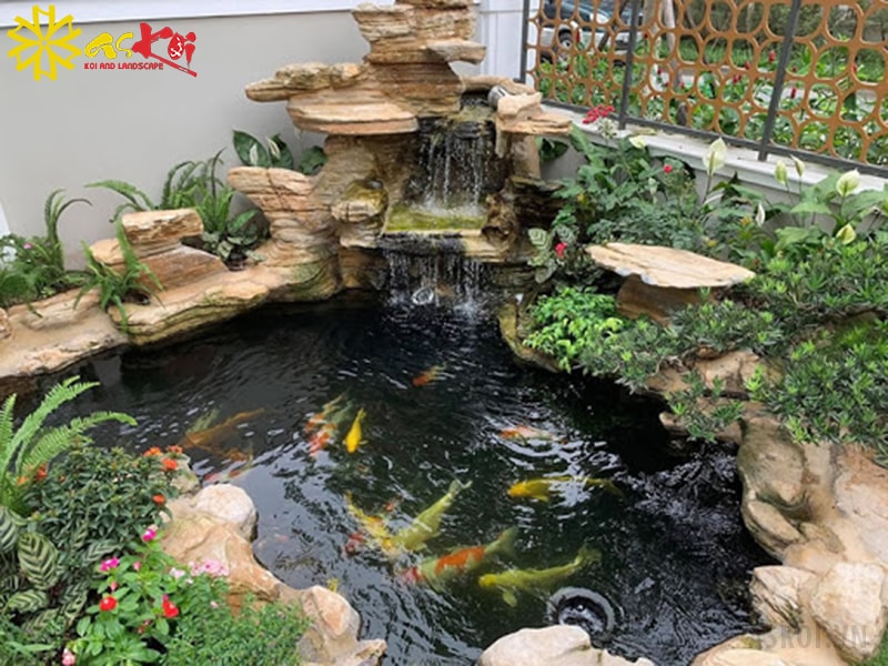 Hồ cá Koi mini xinh xắn tại nhà Hồ cá Koi mini xinh xắn tại nhà
