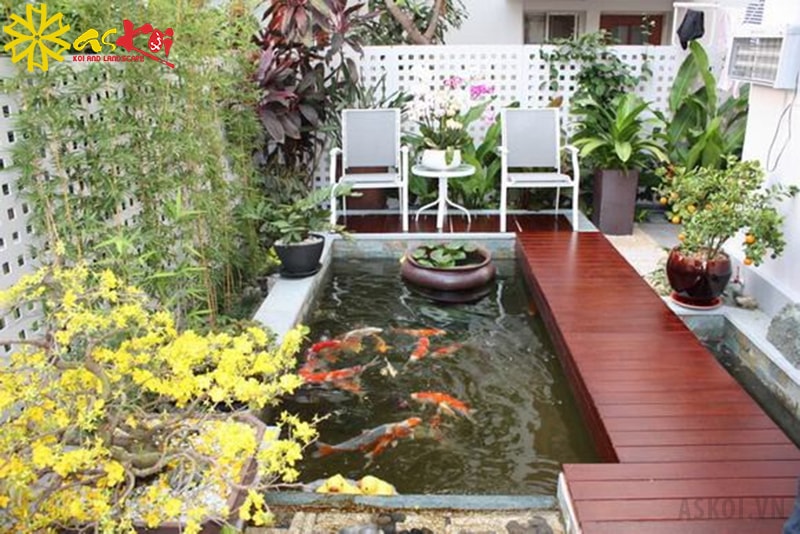 Hồ cá koi khiến cho sân thượng nhà bạn trở nên thú vị Hồ cá koi khiến cho sân thượng nhà bạn trở nên thú vị