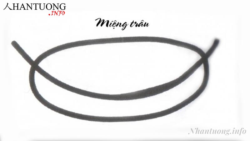 Tướng miệng cọp Tướng miệng cọp