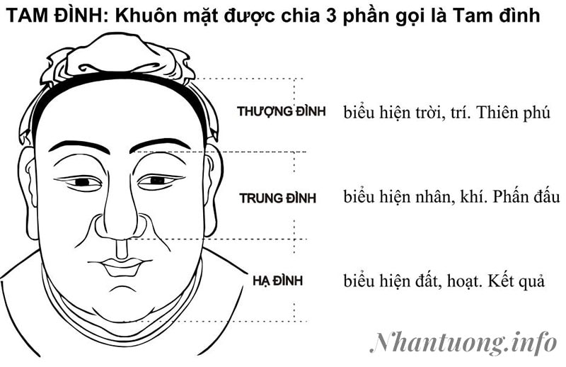 Phân chia khuôn mặt theo Tam Đình Phân chia khuôn mặt theo Tam Đình