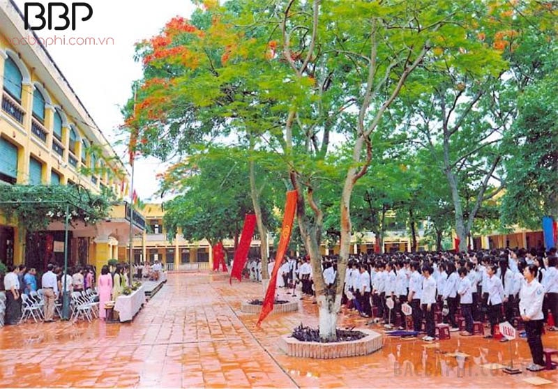 Trường THPT Ngô Thì Nhậm Trường THPT Ngô Thì Nhậm