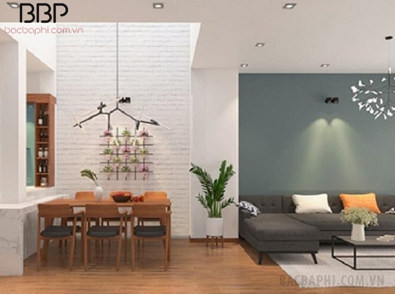 Cây Kim Tiền chịu hạn tốt nên thích hợp trồng trong nhà Cây Kim Tiền chịu hạn tốt nên thích hợp trồng trong nhà