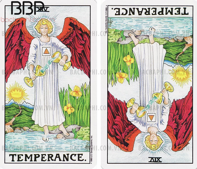 Lá bài XIV – Temperance (Sự tiết chế) xuôi và ngược Lá bài XIV – Temperance (Sự tiết chế) xuôi và ngược