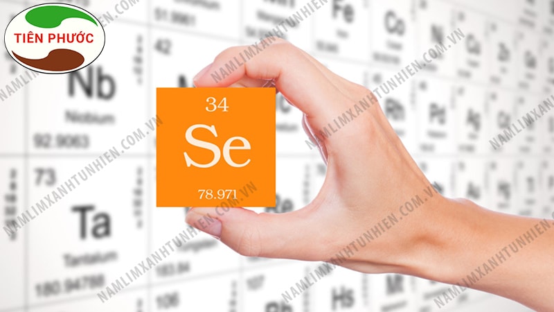 Selenium là khoáng chất quan trọng đối với cơ thể Selenium là khoáng chất quan trọng đối với cơ thể