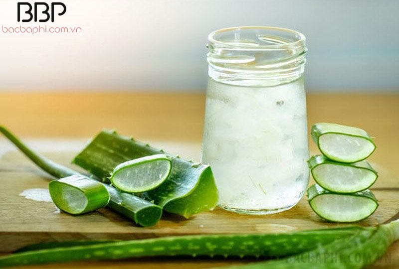 Nha đam rất tốt cho sức khỏe nhưng phụ nữ mang thai nên hạn chế sử dụng Nha đam rất tốt cho sức khỏe nhưng phụ nữ mang thai nên hạn chế sử dụng