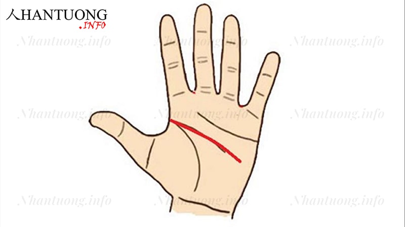 Vị trí đường Trí tuệ Vị trí đường Trí tuệ