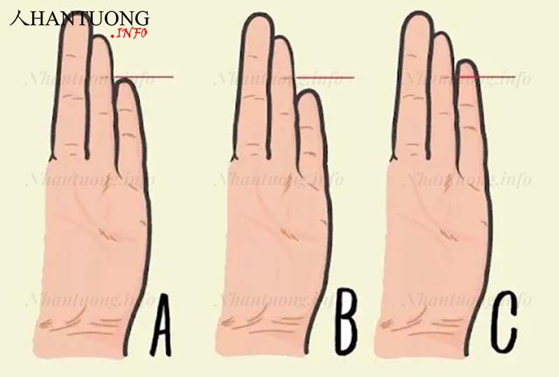 Độ dài ngón út so với ngón áp út Độ dài ngón út so với ngón áp út
