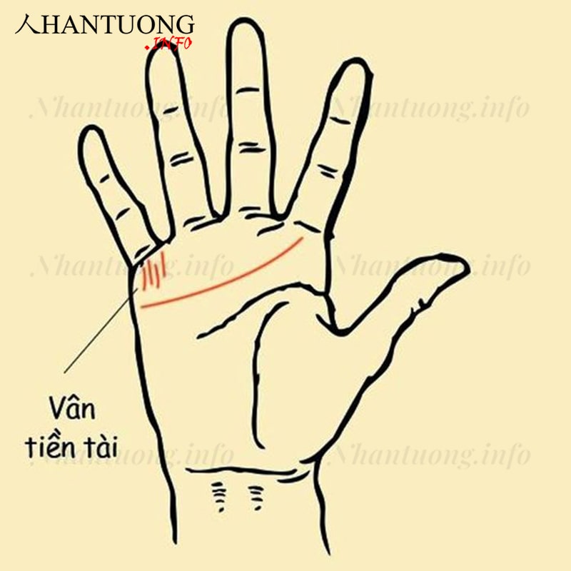 Vị trí vân tiền tài Vị trí vân tiền tài